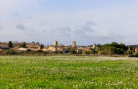 Concertation relative au projet de déclaration de projet valant mise en compatibilité du PLU de Pignan